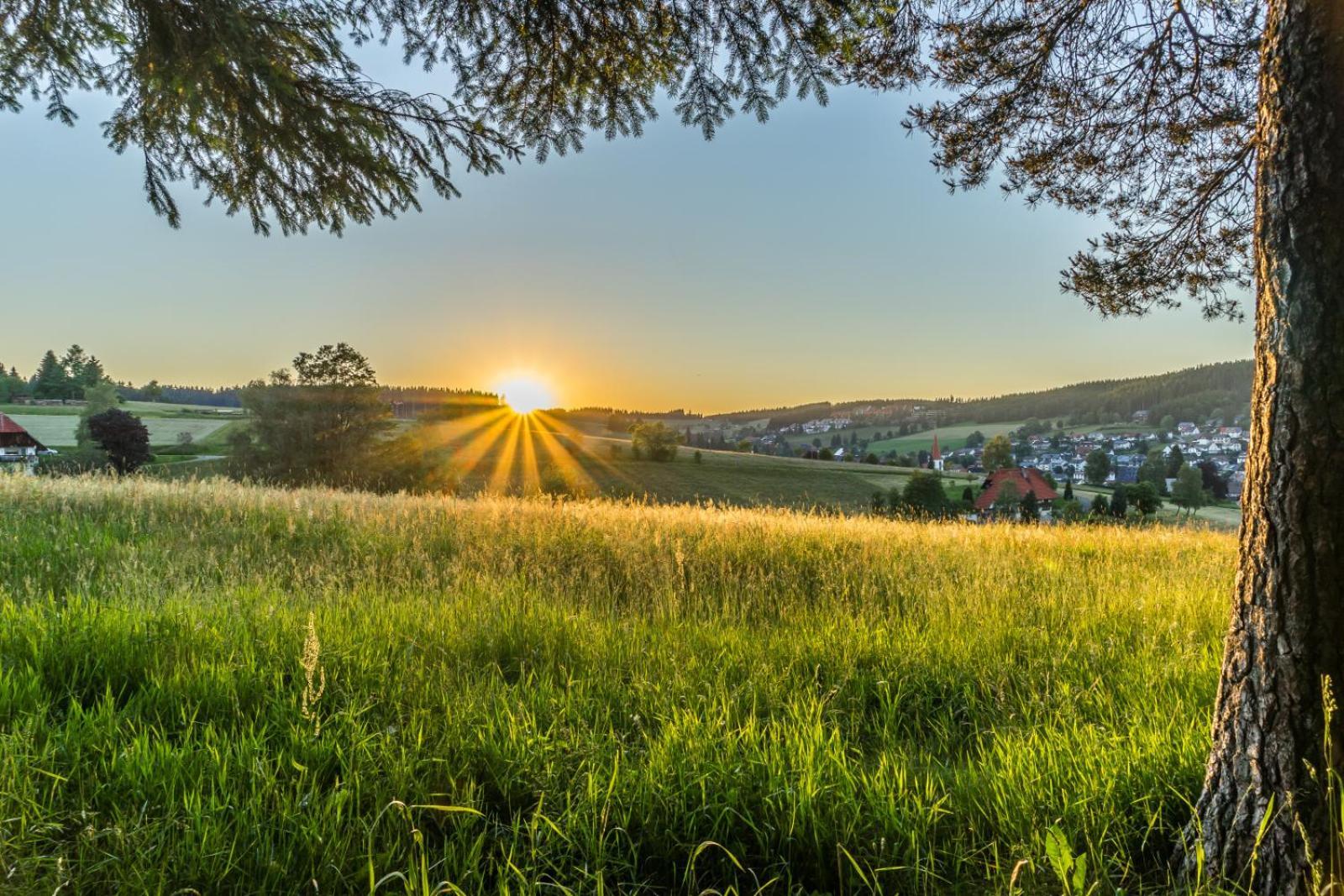 Landhaus Panoramablick Schonach im Schwarzwald Kültér fotó