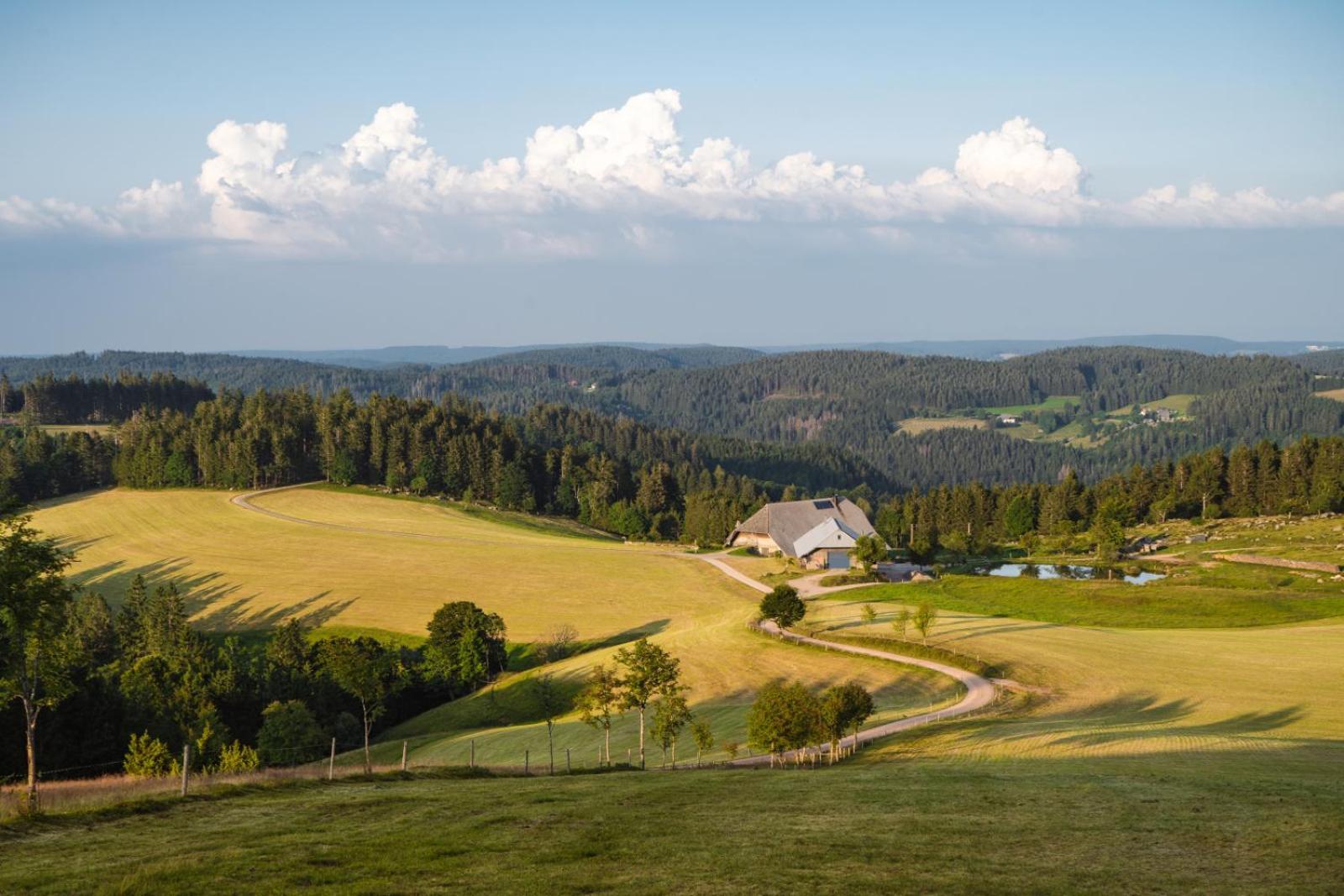 Landhaus Panoramablick Schonach im Schwarzwald Kültér fotó
