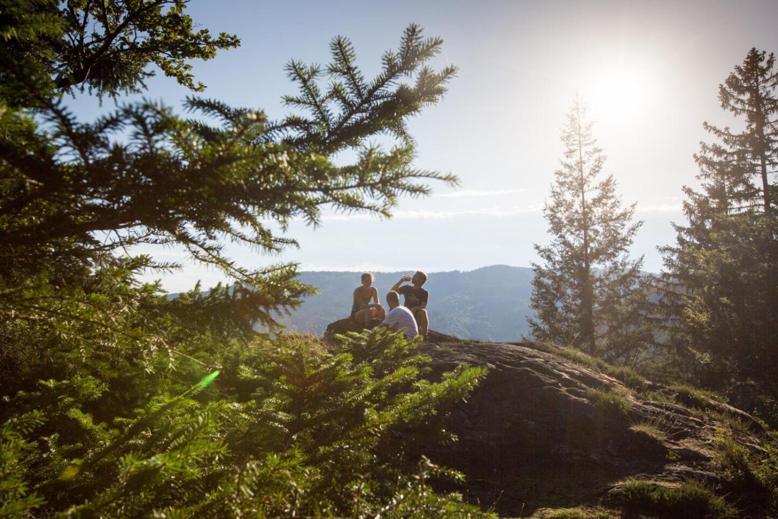 Landhaus Panoramablick Schonach im Schwarzwald Kültér fotó